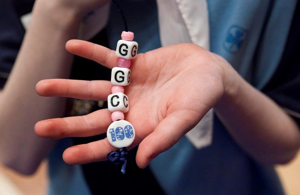 Girl Guides of Canada Offers Two Names to Replace ‘Brownies’